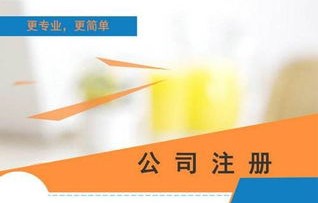 电子商务专业公司要求