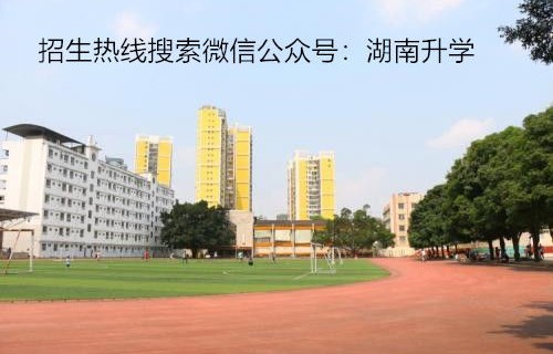湖南王牌专业电子商务