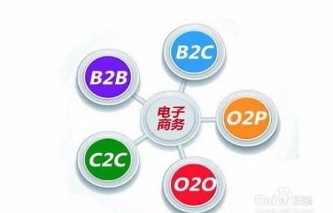 港研电子商务专业录取