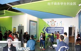 电商专科电子商务专业
