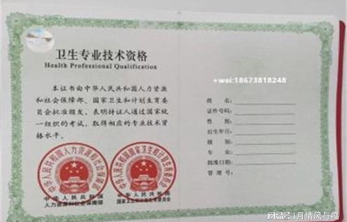 电子商务专业初定职称