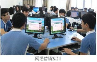 电子商务专业学业兴趣情况
