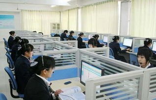 电子商务专业美国大学