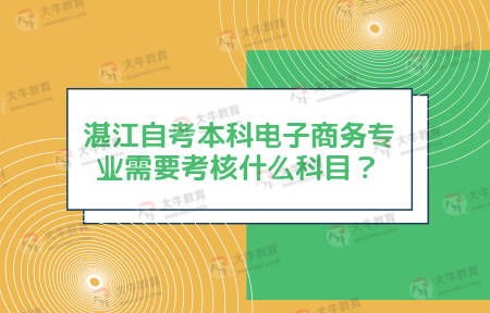 电子商务专业国考考哪