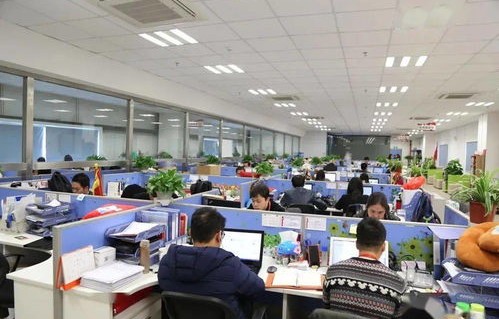 珠海报考电子商务专业