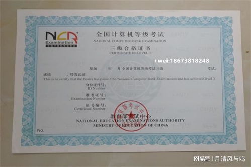 电子商务技术专业证书