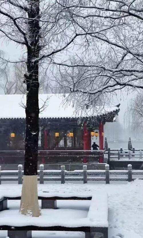 济南大暴雪