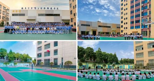 邢台学院电子商务专业吗