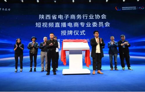 电子商务专业采访视频