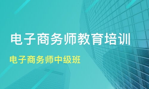 专业电子商务师价格