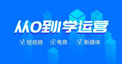 电子商务新媒体专业