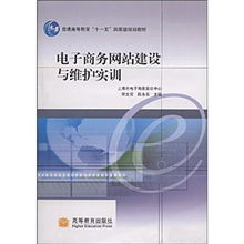 高等教育电子商务专业