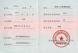 中国电子商务专业证书
