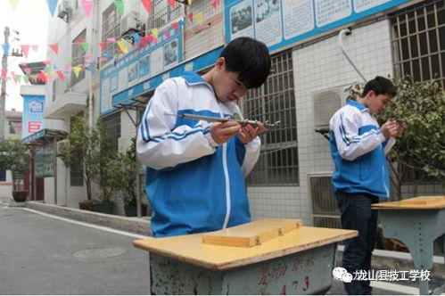 龙山电子商务专业学校