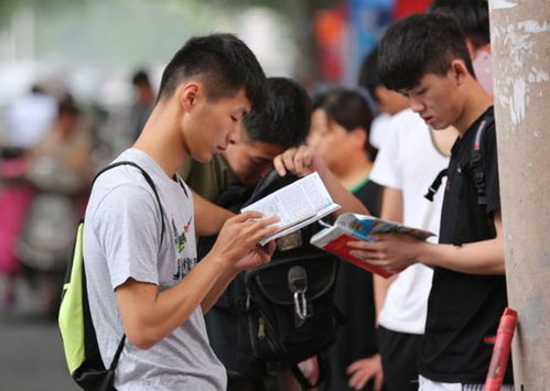就电子商务专业谈理想