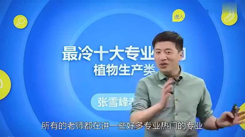 张雪峰讲电子商务专业