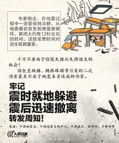 四川宜宾发生4.8级地震，当地居民积极应对，政府部门迅速响应