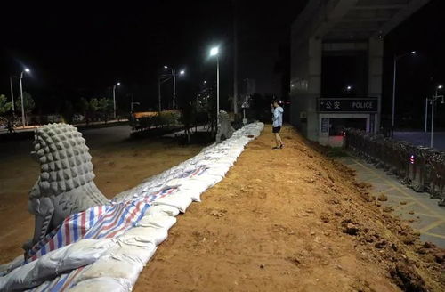 海南昌江现多道针状光斑悬浮夜空
