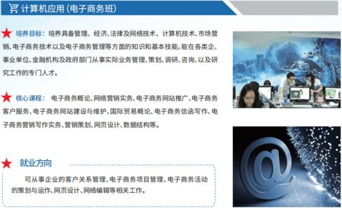 it专业和电子商务专业哪个好就业